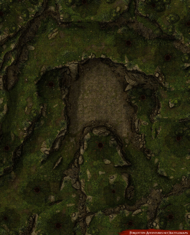 Forest Cave [25×31] – Forgotten Adventures